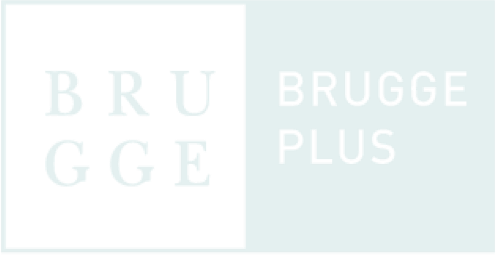 Brugge Plus vzw